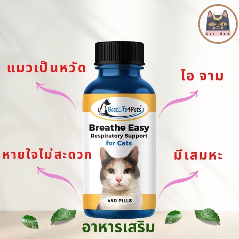 cat-breath-easy-shopee-thailand
