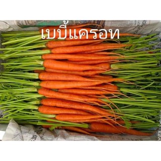 🥕แครอท baby แครอทสดใหม่สะอาดขายถูก💯💯💯500กรัม🥕🥕🥕