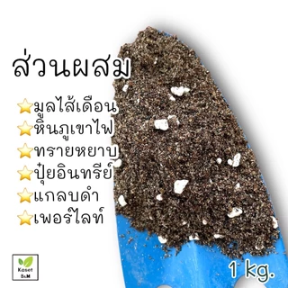ดินปลูกแคคตัส ดินปลูกกระบองเพชร ขนาด ~ 1.1 - 1.3 kg.