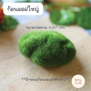 โมเดลก้อนมอส เต่าทอง สำหรับทำโมเดล ตกแต่งสวนถาด สวนโหลแก้ว บ้านตุ๊กตา Miniature Diorama