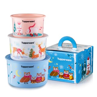 Tupperware Winter Wonders Collection Set