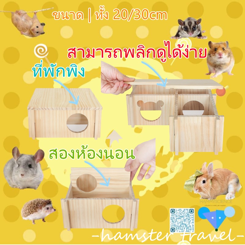 [hamster travel]หนูแฮมสเตอร์สี่เหลี่ยมหลายห้องหลบบ้านเขาวงกตบ้านไม้แคระแอบดูบ้าน