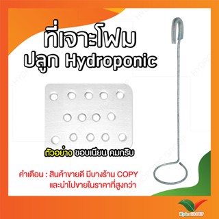 โปรพิเศษ ที่เจาะโฟมอุปกรณ์ปลูกผักไฮโดรโปนิกส์ By hydroponicgroup