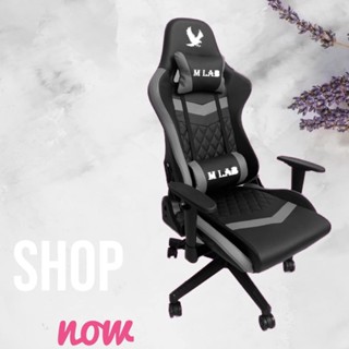 เก้าอี้เกมส์มิ่ง Gaming Chair M LAB รุ่น 203 มี3สีให้เลือก &amp; เก้าอี้เกมส์มิ่ง Gaming Chair M LAB รุ่น 224 มี3สีให้เลือก