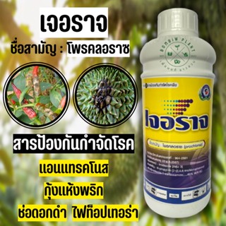 เจอราจ โพรคลอราช 45% W/V EC (ขนาด1ลิตร) เป็นสารป้องกันกำจัดเชื้อราชนิดแทรกซึม สามารถฉีดผ่าดอกได้ ปลอดภัยต่อพืช