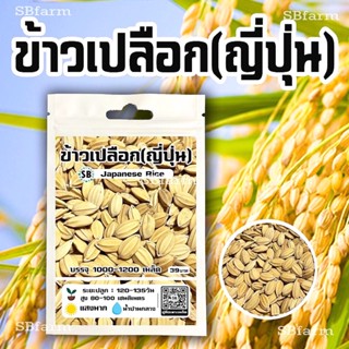 เมล็ดพันธุ์ข้าว(ญี่ปุ่น) [1000-1200เมล็ด/ซอง]