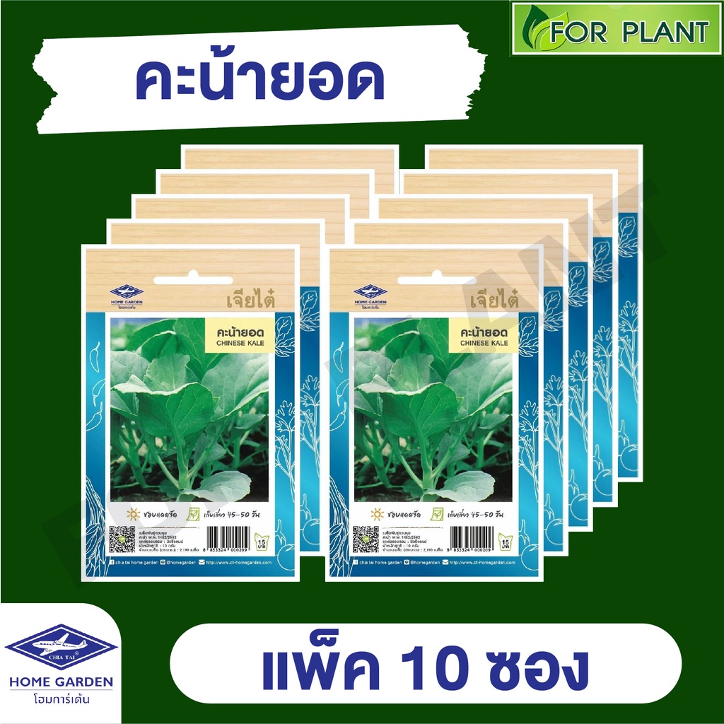 ขายส่ง เมล็ดพันธุ์ ผักซอง ยกแพค เจียไต๋ ราคาถูก บรรจุแพ็คละ 10 ซอง  CT15 {คละชนิดได้ กดใส่ตะกล้าไว้ก่อนยืนยันสั่งซื้้อ)