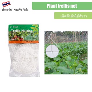 Plant trellis net เน็ตขึงต้นไม้ Trellis Netting 150x450cm / 150x900cm/ [SCROG Net] Nylon Trellis Support Anti-Bird Net