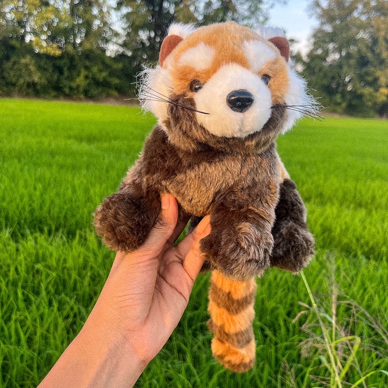 ตุ๊กตาแพนด้าแดง ตุ๊กตา แพนด้าแดง Red panda  LESSER PANDA , RED PANDA,  Red panda plush toy ตุ๊กตาสัต