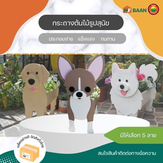 กระถางต้นไม้รูปสุนัข ขนาด 20x27cm 5 ลาย Dog Planter Plant Pot กระถาง ต้นไม้ ดอกไม้ PVC พีวีซี ตกแต่งสวน Diy มิตสห Hybaan