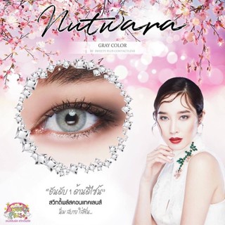 sweety plus nutwara gray ไม่มีค่าสายตา พร้อมส่ง