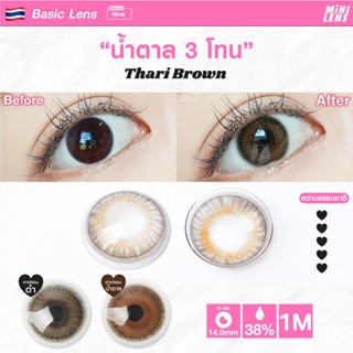 คอนแทคเลนส์ คอนแทคเลนส์รายเดือน Mini Lens รุ่น Thari Brown น้ำตาล 3 โทน ฝอหม่นแบบแบ๊วๆ ตาไม่กบ