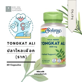 [ สมุนไพรสกัด รากปลาไหลเผือก ] Solaray, Tongkat Ali , 400 mg x  60  แคปซูล (VegCaps)