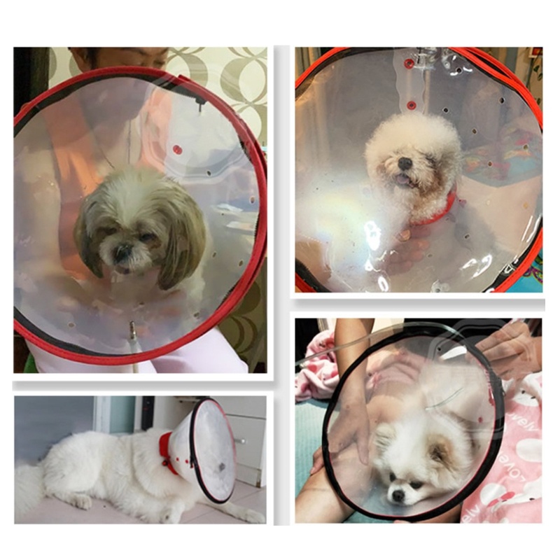 Mya สําหรับสุนัขกู้ภัยพร้อมหมวกแบบปรับได้ Anti-Bite Pet - รูปที่ 3
