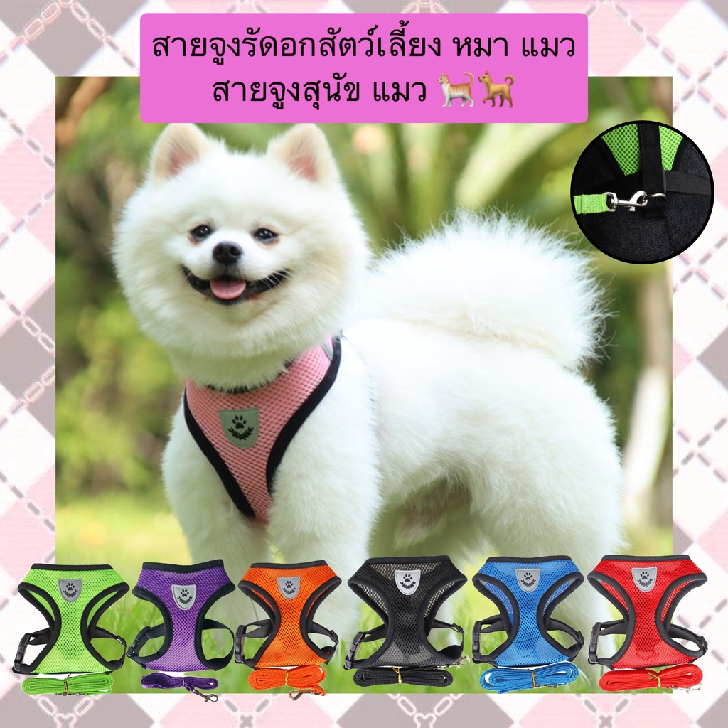 PP-439 สายจูงรัดอกสำหรับสัตว์เลี้ยงทั้งสุนัขและแมว ดีไซน์ใช้งานง่าย ใส่ง่าย น้ำหนักเบา พร้อมส่งในราคาคุ้มค่า! 🐕🐈