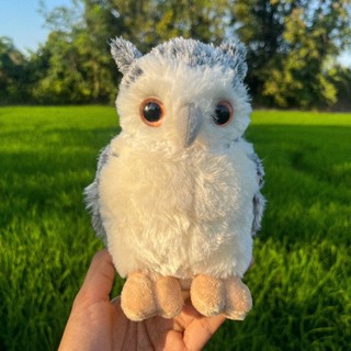 ตุ๊กนกเค้าแมวหิมะ นกเค้าหิมะ (Snowy owl) ตุ๊กตานกฮูกสีขาว ฮูกขาว ฮูก  ตุ๊กตานกฮูกเหมือนจริงสีขาว ตุ๊กตานกฮูก Male Snowy