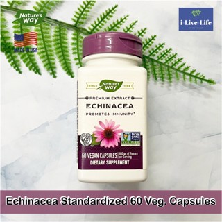 สมุนไพรเอ็กไคนาเซียสกัด Echinacea Standardized 60 Veg. Capsules - Natures Way