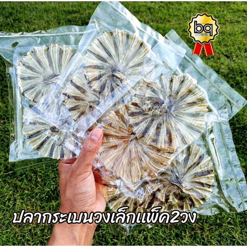 ปลากระเบนวง หนักประมาณ20-25ก.