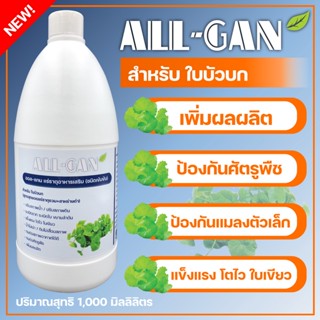 ปุ๋ยใบบัวบกป้องกันโรคใบไหม้โคนเน่าALL GAN1000mlป้องกันศัตรูพืชและแมลงตัวเล็กๆสูตรเข้มข้นพิเศษใช้ได้นานจากธรรมชาติ100%