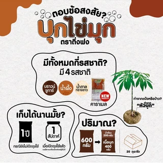 บุกไข่มุก (10 รส❗) รสบราวน์ชูการ์, น้ำผึ้ง, น้ำตาล, คาราเมล บุกใส ไม่มีแป้ง ตราติ่งฟง 600กรัม