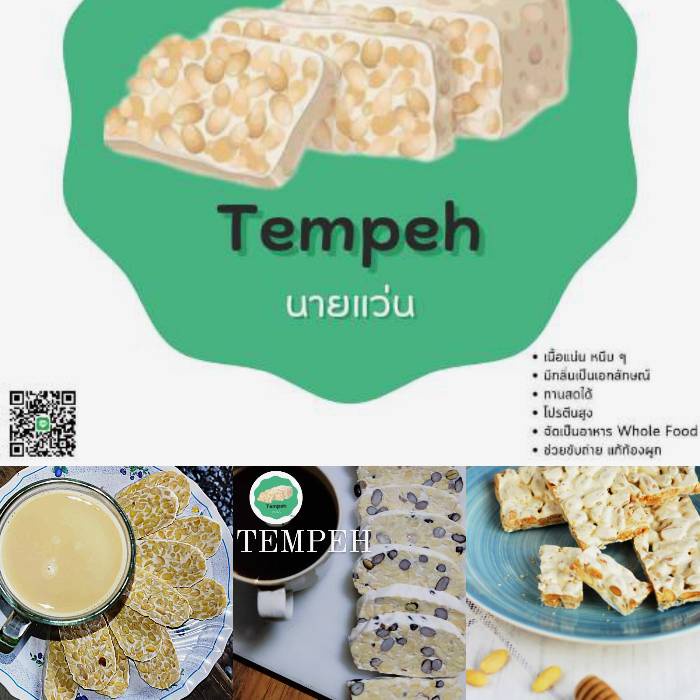 Tempeh เทมเป้ถั่วเหลือง ออแกนิค และถั่วหลายสี (5 แถม 1)