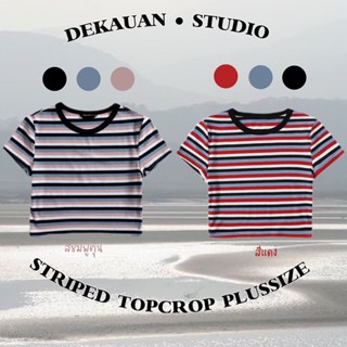 STRIPED TOPCROP PLUSSIZE