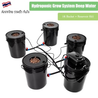 ชุดปลูกครบเซ็ท Hydroponic Grow System Deep Water Culture (DWC) Complete Kit (4 Bucket + Reservoir Kit) full set