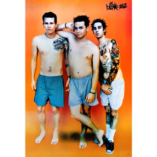 โปสเตอร์ รูปถ่าย วง ดนตรี ร็อก บลิงก์-182 Blink 182 POSTER 24”x35” Inch American Pop Punk Alternative Rock Graphic V8