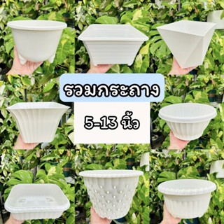 รวมกระถางต้นไม้ กระถางราคาถูก 5-13 นิ้ว[พร้อมส่งราคาถูกที่สุด plant pot ✅ Happy plantรุ่นวางไว้ในบ้านได้ ขนาด5-7-9นิ้ว