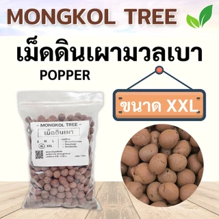 เม็ดดินเผามวลเบา Popper 🌰 1 ลิตร S M L XL XXL เม็ดปอปเปอร์ Mongkol Tree Family วัสดุปลูก ใช้โรยหน้ากระถาง ผสมดินปลูก