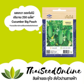 ผลิตภัณฑ์ใหม่ เมล็ดพันธุ์ สปอตสินค้า❤เมล็ดอวบอ้วน แตงกวา 250 เมล็ด ซองจัมโบ้ เพิ่มปริมาณมากกว่า 3 เท่า！ ตราเจีย /มะเขือ