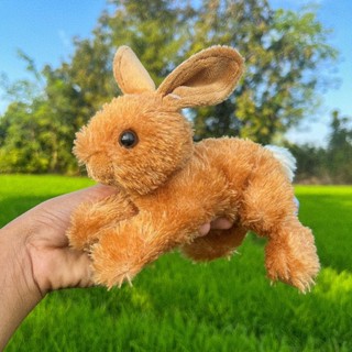 ตุ๊กตากระต่ายสีน้ำตาล  กระต่ายเหมือนจริง กระต่ายน้ำตาล กระต่ายน่ารัก Rabbit stuffed plush toy Rabbit ตุ๊กตากระต่ายน้ำตาล