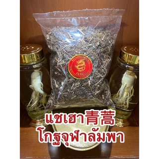 แชเฮา青蒿 โกฐจุฬาลัมพา ชิงเฮา แชเฮา สมุนไพรโกฏจุฬารำพา โกฐจุฬารำพา