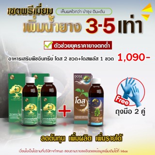 เชต 3 ขวด เพิ่มปริมาณน้ำยาง [Dose เขียว 2+ Dose plus 1]