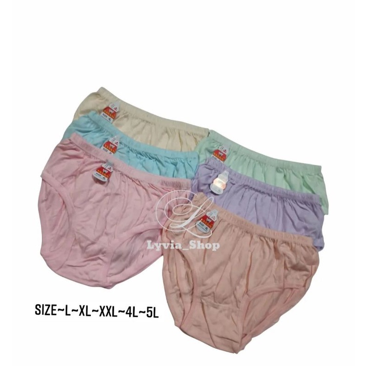 ชุดชั้นในผู้หญิง JUMBO SIZE L~5L