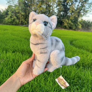 ตุ๊กตาแมว แมวสีเทา แมวเทา Cat Plush Stuffed Animal Toy cat ตุ๊กตาแมว ตุ๊กตาสัตว์จำลองเหมือนจริง ตุ๊กตา ทาสแมว แมว Cat