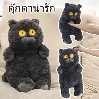 พร้อมส่ง🐱 ตุ๊กตา แมวดำตาเหลือง หน้ากวนๆ Black Cat ตุ๊กตาน่ารัก ตุ๊กตาแมว ตุ๊กตาตลกๆ ของขวัญ ทาสแมว พร็อบแต่งห้อง