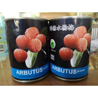 เอียะบ๊วย หวาน อมเปรี้ยว บ๊วยแดงเมืองจีน 567 กรัม ARBUTUS IN SYRUP