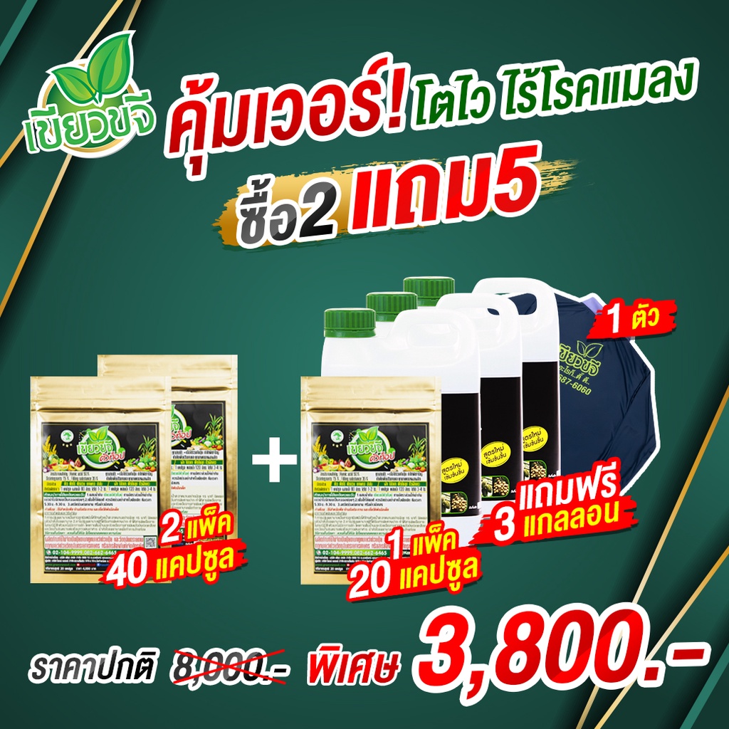 2 ฟรี 5 เขียวขจีนาโน ปุ๋ยนาโน ข้าวแตกกอดี รวงใหญ่น้ำหนัก ทนแล้ง เพิ่มน้ำหนัก ต้านทานโรคและแมลง เกษตรอินทรีย์