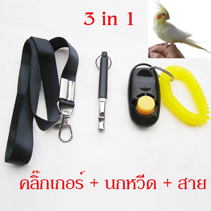 #นกหวีดฝึกนก #นกหวีดฝึกสัตว์เลี้ยง #นกหวีดฝึกสุนัข #นกหวีดอัลตราโซนิก #คลิกเกอร์ฝึกสัตว์