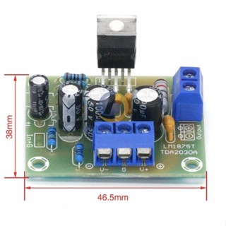 ชุดคิต amplifier LM1875 ไม่มี Heatsink