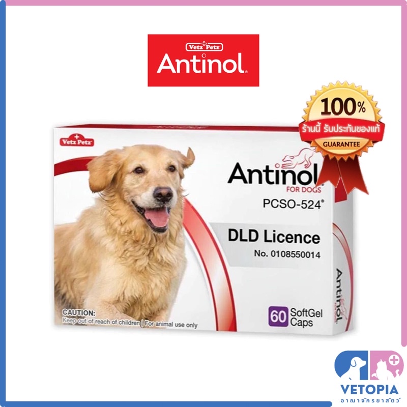 ของแท้ 100% Antinol อาหารเสริมสำหรับสุนัข และ แมว