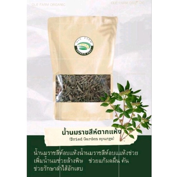 น้ำนมราชสีห์ออแกนิคตากDried Garden spurge25กรัม