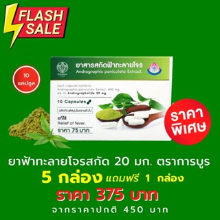 [5 ฟรี 1] ฟ้าทะลายโจรสกัด ตราการบูร 20 มก. ฟ้าทะลายโจรสกัดแคปซูล  10 แคปซูล ANDROGRAPHIS EXTRACT