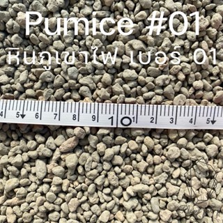 หินภูเขาไฟ เบอร์01 Pumice#01  500 กรัม(15บาท) 1,000กรัม(29บาท) ขนาด 3-6 มิล ราคาถูกที่สุด ✅พร้อมจัดส่ง