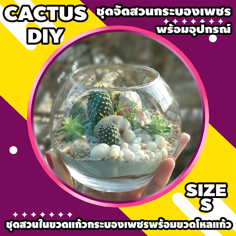 ชุดจัดสวนกระบองเพชร 339 บาท วัสดุอุปกรณ์ครบพร้อมจัด