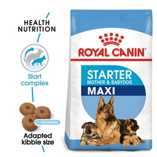 4 kg. Maxi Starter Royal Canin รอยัลคานิน สูตรแม่และลูก สำหรับสุนัขพันธุ์ใหญ่