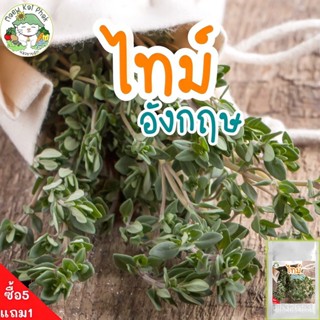 ผลิตภัณฑ์ใหม่ เมล็ดพันธุ์ 2022เมล็ดอวบอ้วน ไทม์ อังกฤษ English Thyme Seed 500 เมล็ด เมล็ดอวบอ้วนแท้ นำเข้าจากต่า/ต้นอ่อน