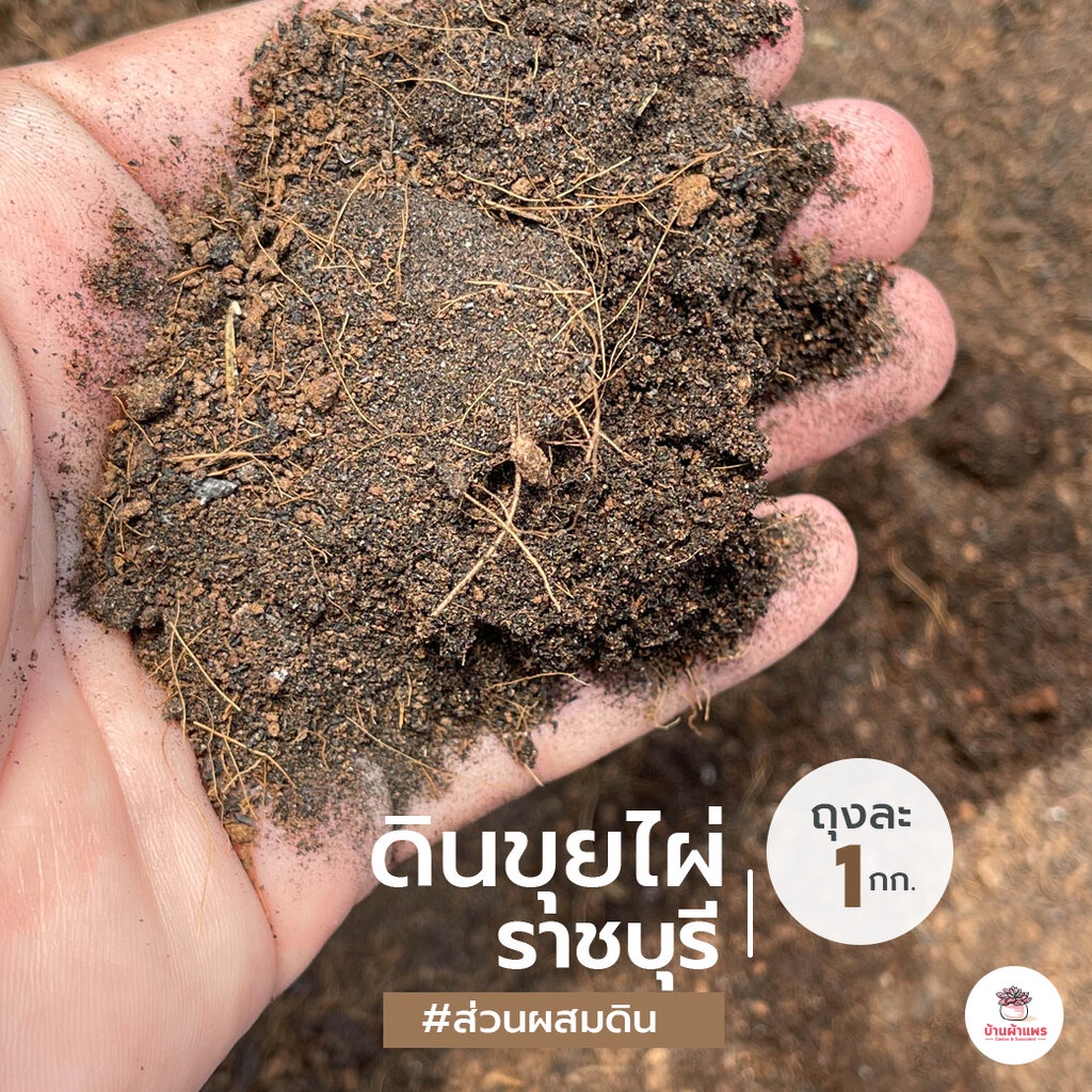 [ 1 กก. ] ดินขุยไผ่ ราชบุรี ส่วนผสมดินปลูกแคคตัส&ไม้อวบน้ำ
