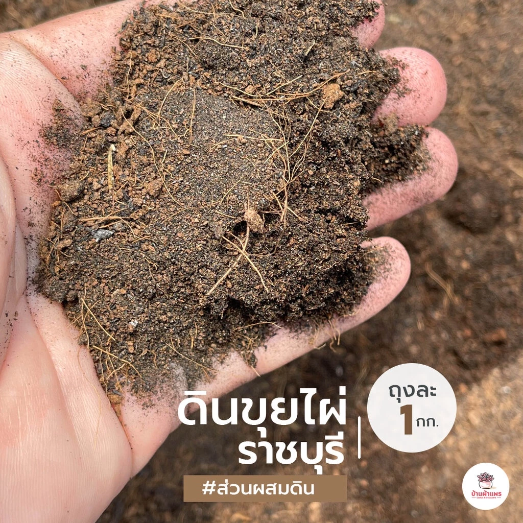 [ 1 กก. ] ดินขุยไผ่ ราชบุรี ส่วนผสมดินปลูกแคคตัส&ไม้อวบน้ำ